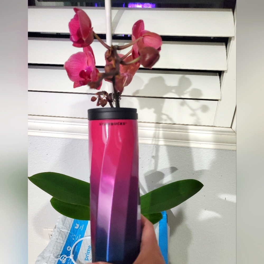 Startbucks mexico ombre tumbler 2021